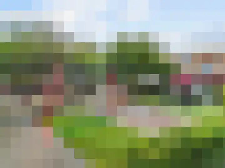 Botterstraat 28 Lisse thumbnail 51