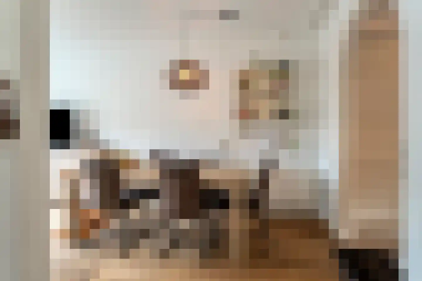 Botterstraat 3 Elburg thumbnail 15