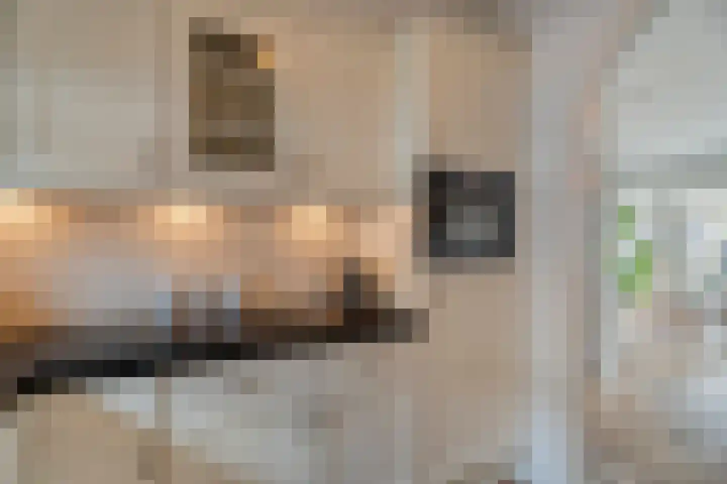 Botterstraat 3 Elburg thumbnail 24