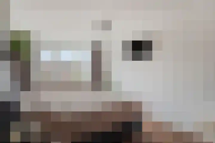 Botterstraat 3 Elburg thumbnail 27