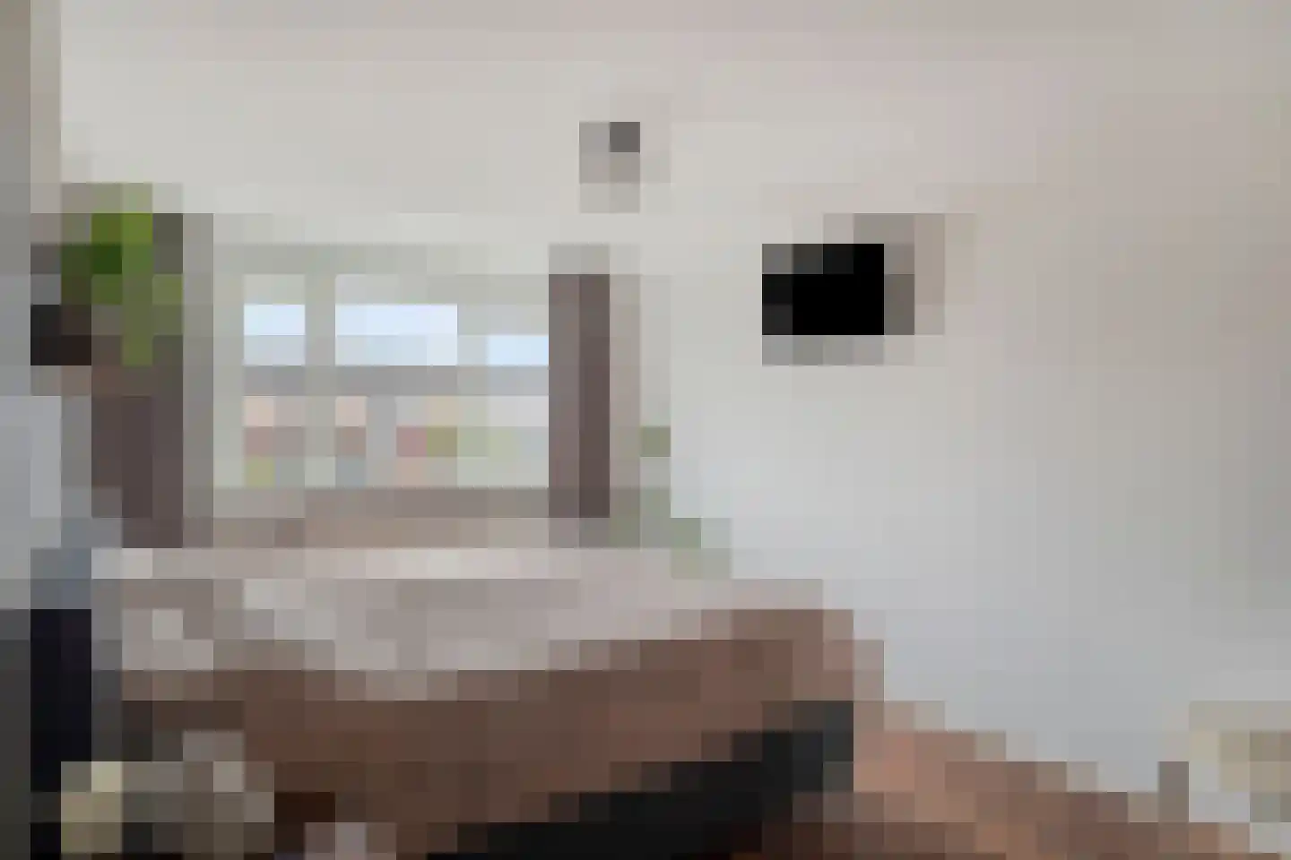 Botterstraat 3 Elburg thumbnail 27