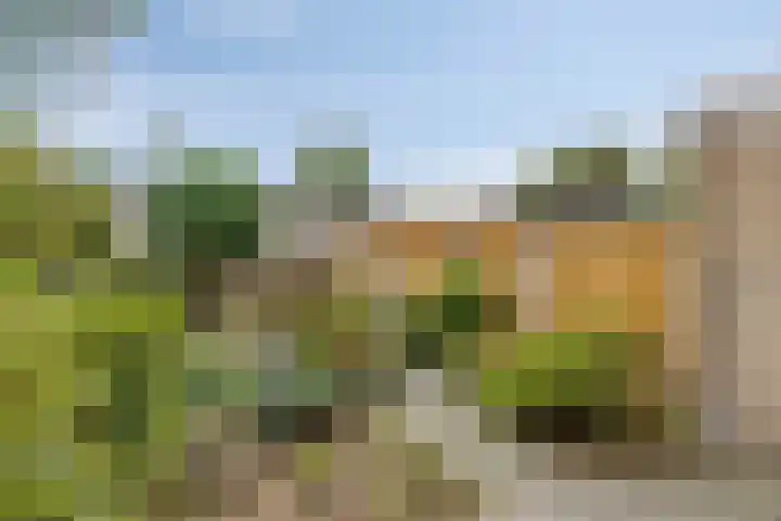Botterstraat 3 Elburg thumbnail 30