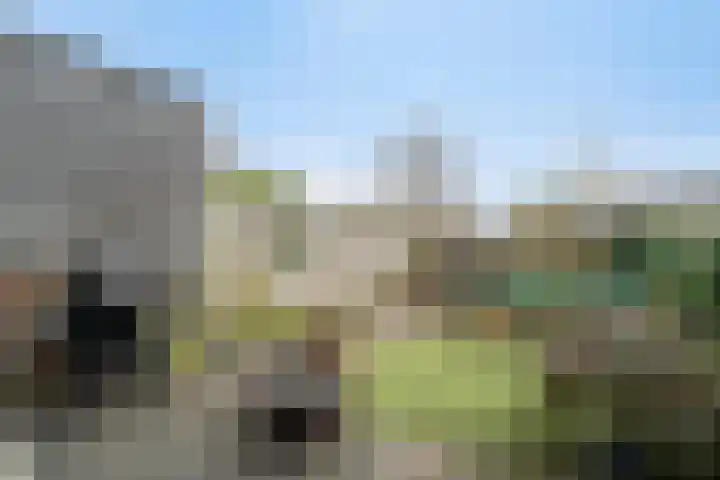 Botterstraat 3 Elburg thumbnail 38