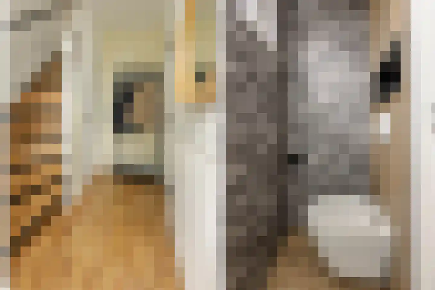 Botterstraat 3 Makkum thumbnail 6