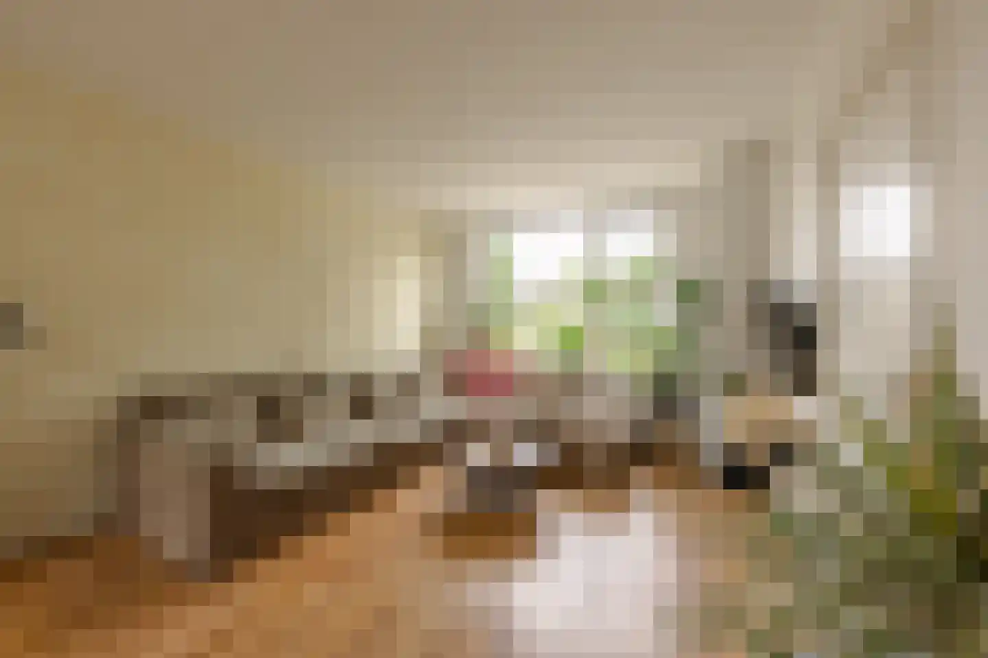 Botterstraat 3 Makkum thumbnail 7
