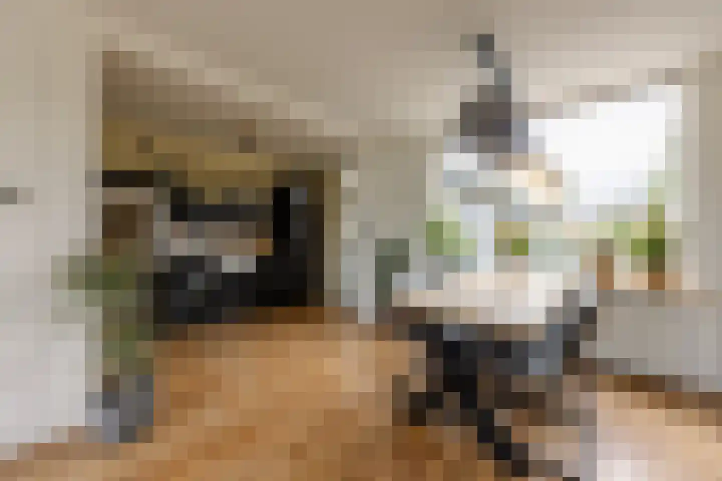 Botterstraat 3 Makkum thumbnail 8
