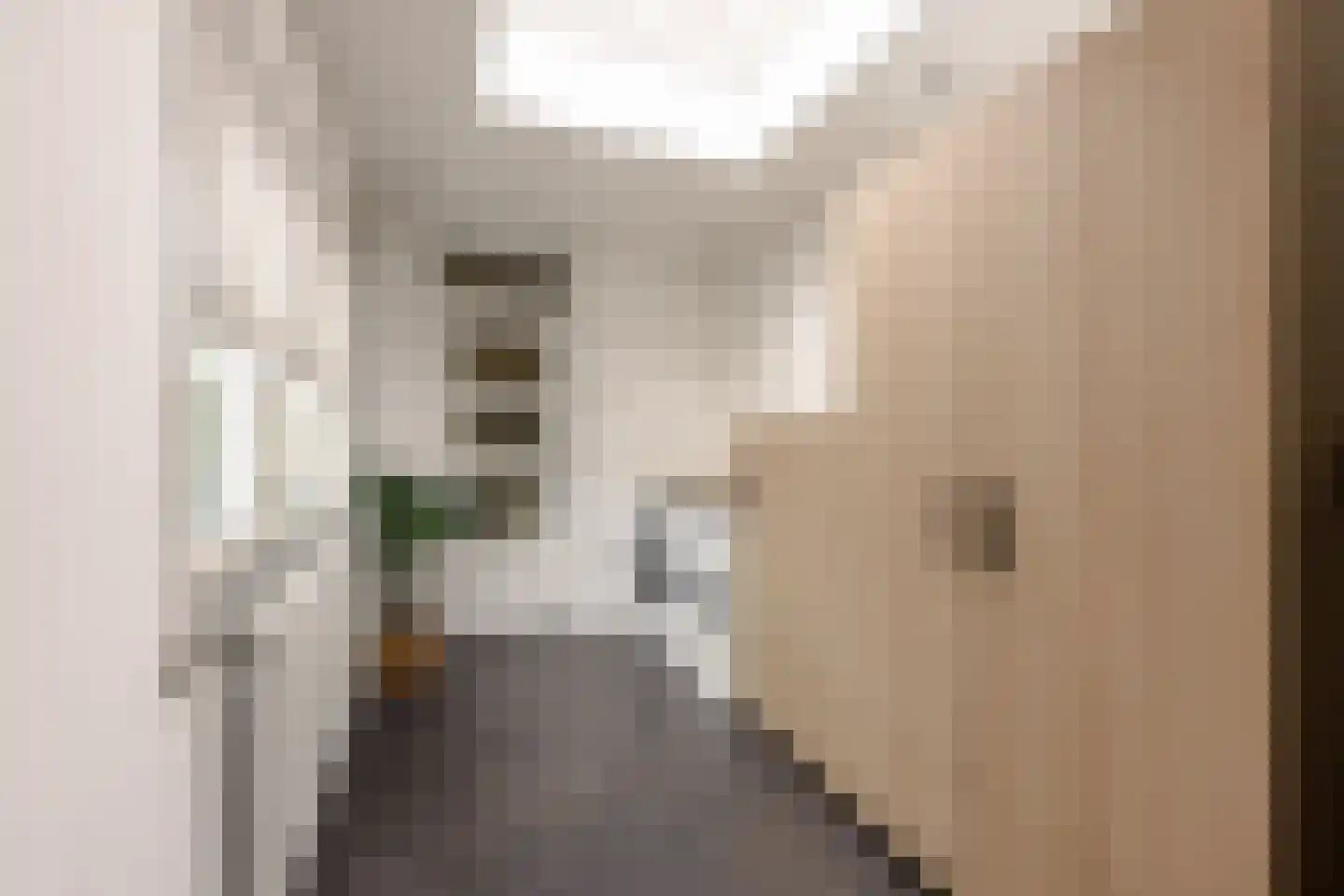 Botterstraat 3 Makkum thumbnail 9
