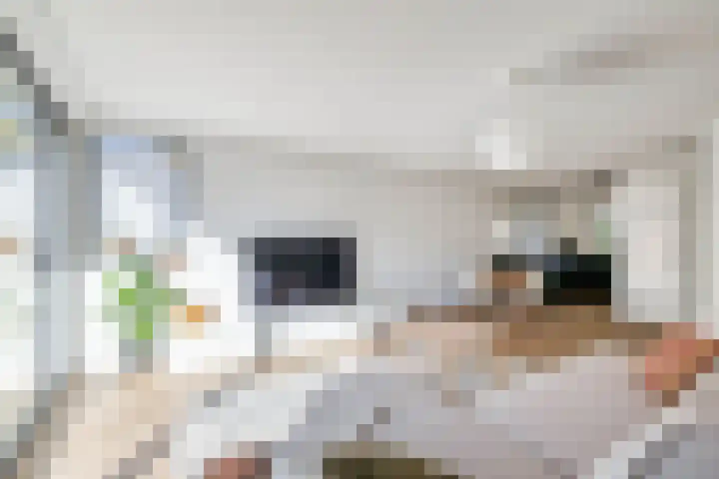 Botterstraat 34 Lisse thumbnail 14