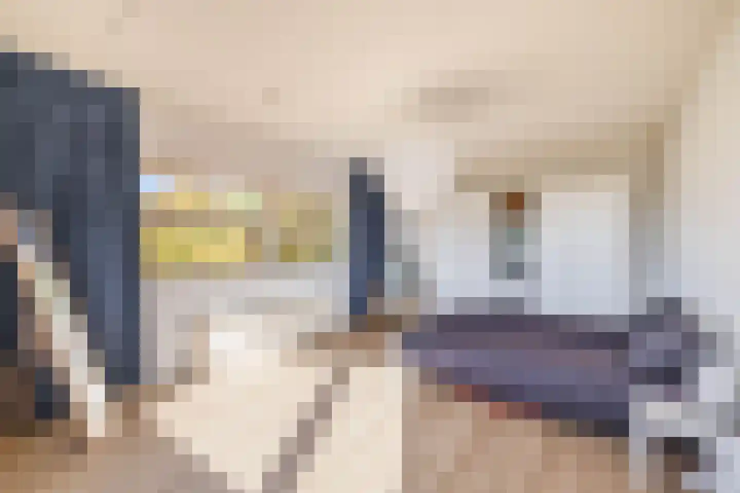 Botterstraat 34 Lisse thumbnail 34