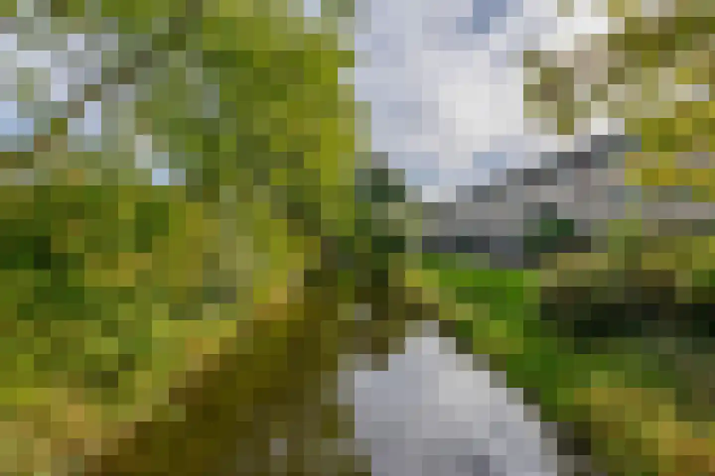 Botterstraat 34 Lisse thumbnail 41