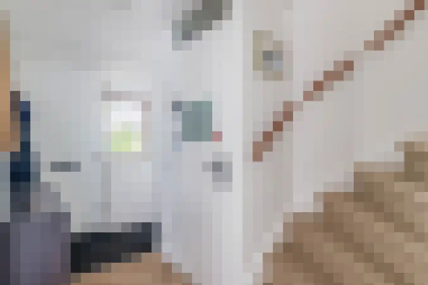 Botterstraat 34 Lisse thumbnail 7