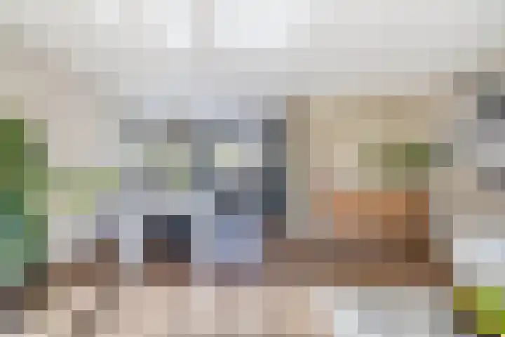 Botterstraat 38 Lisse thumbnail 10