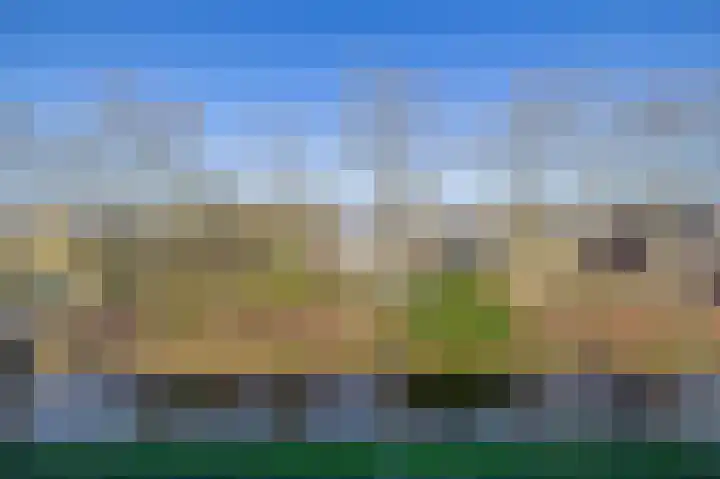 Botterstraat 38 Lisse thumbnail 38
