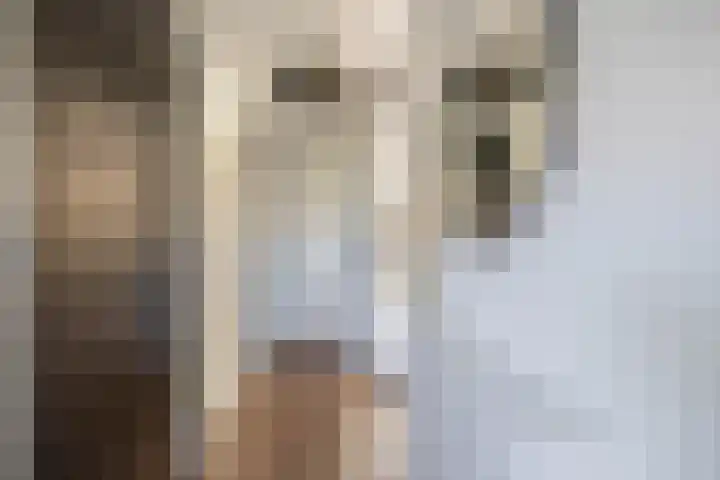 Botterstraat 38 Lisse thumbnail 5