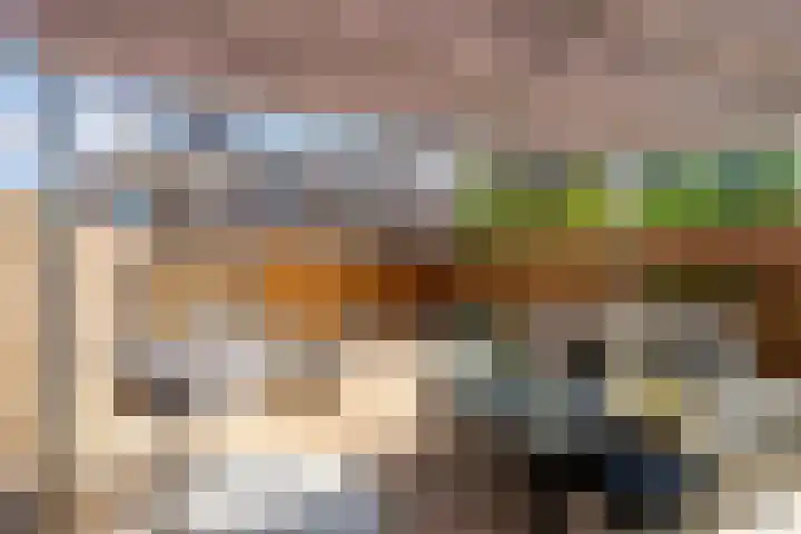 Botterstraat 39 Elburg thumbnail 38