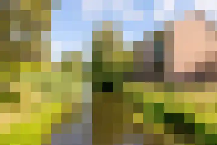 Botterstraat 39 Elburg thumbnail 42