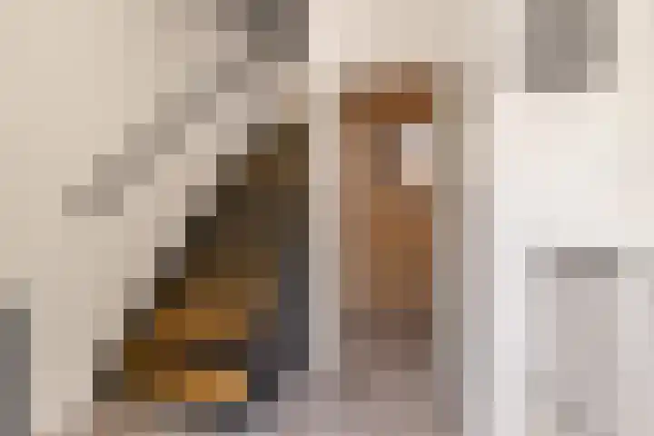 Botterstraat 39 Elburg thumbnail 7