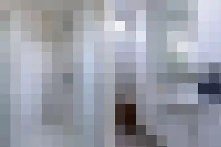 Botterstraat 46 Makkum thumbnail 37