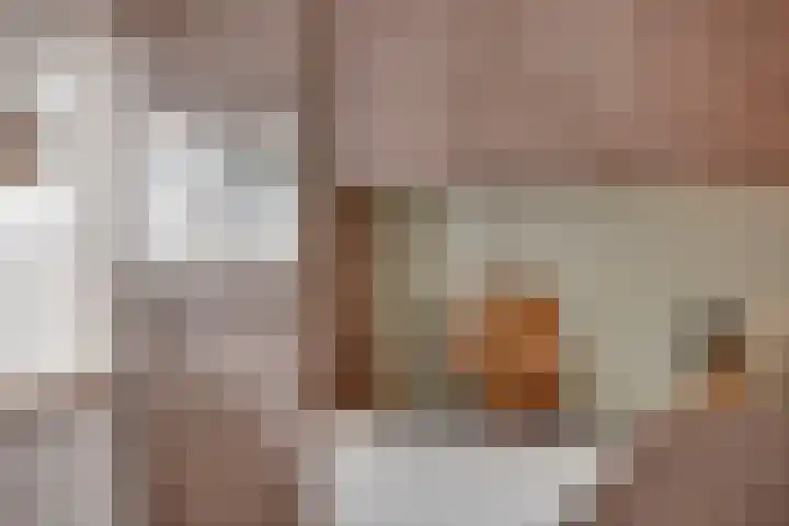 Botterstraat 5 Elburg thumbnail 10