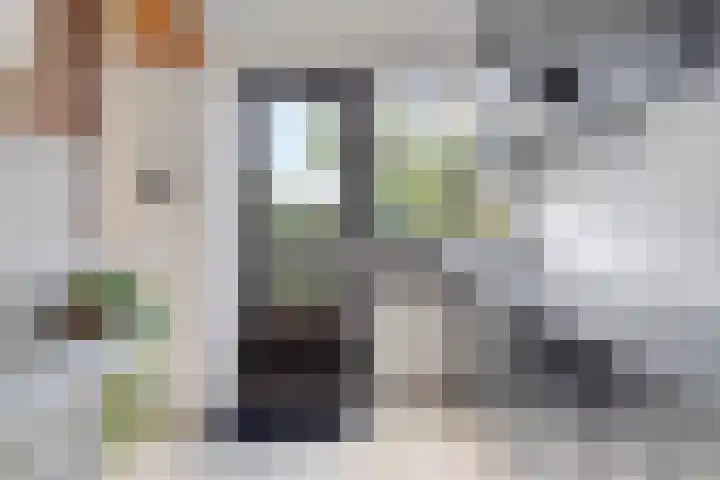 Botterstraat 50 Purmerend thumbnail 16
