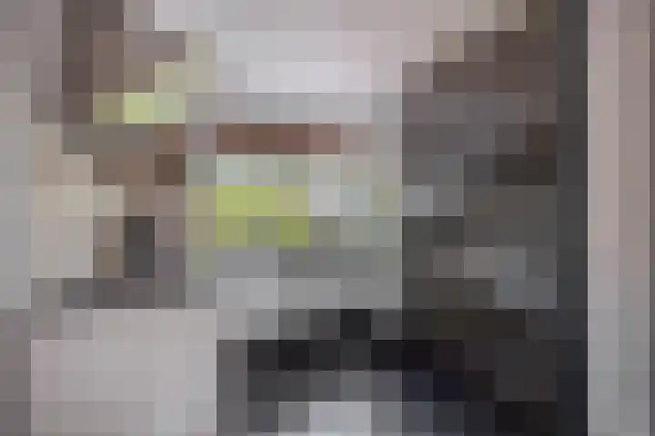 Botterstraat 54 Lisse thumbnail 10