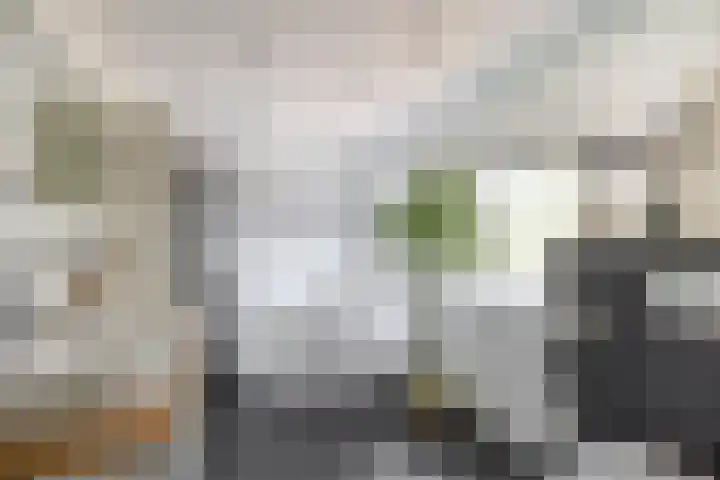 Botterstraat 54 Lisse thumbnail 22