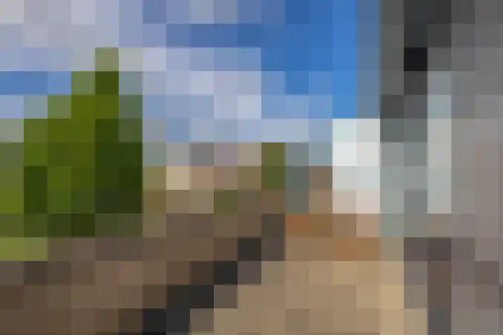 Botterstraat 54 Lisse thumbnail 32