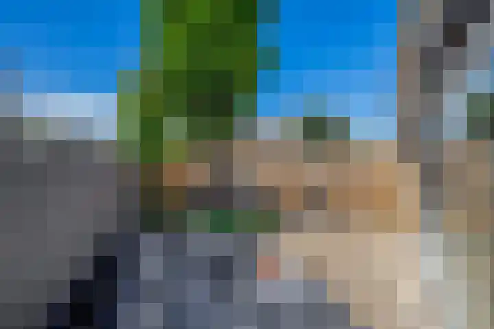 Botterstraat 54 Lisse thumbnail 38