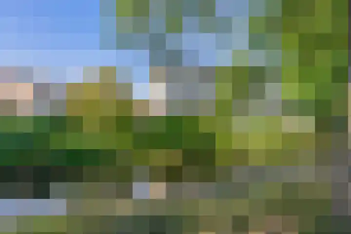 Botterstraat 54 Lisse thumbnail 47