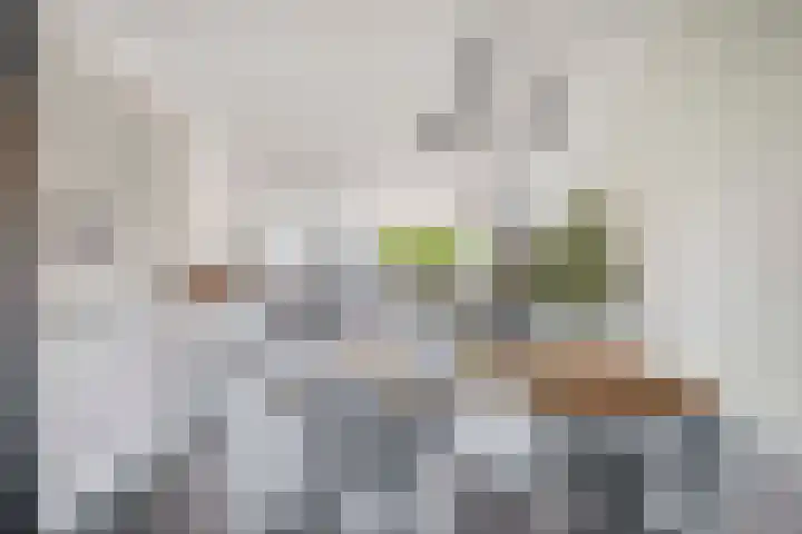 Botterstraat 54 Lisse thumbnail 6