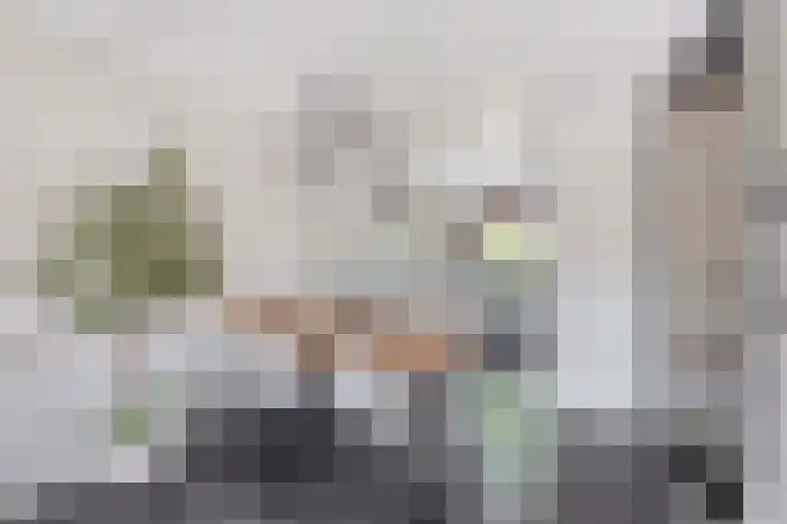 Botterstraat 54 Lisse thumbnail 7