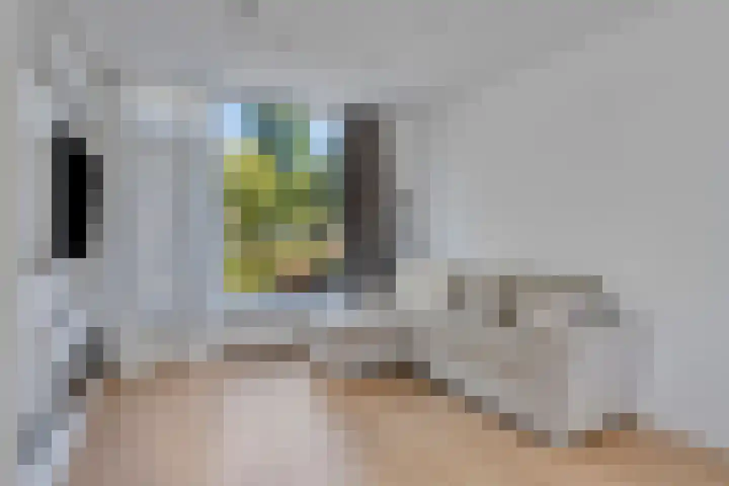 Botterstraat 56 Purmerend thumbnail 13