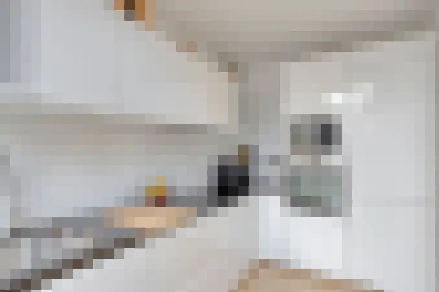 Botterstraat 56 Purmerend thumbnail 18