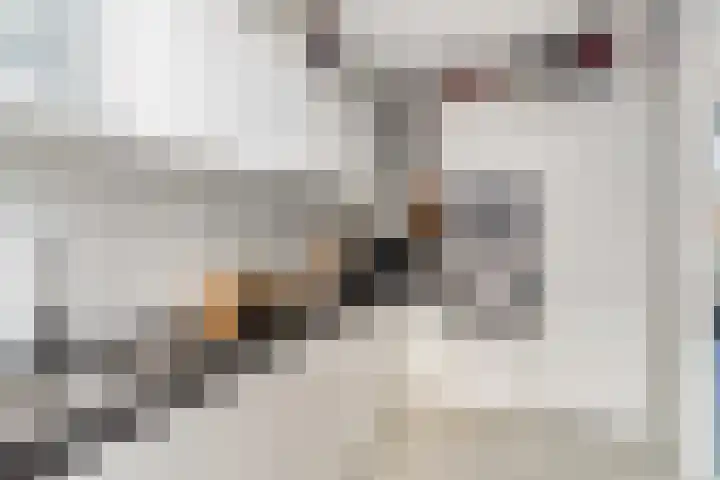 Botterstraat 56 Purmerend thumbnail 21