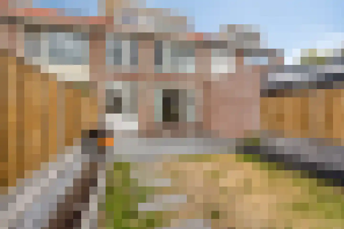 Botterstraat 56 Purmerend thumbnail 32