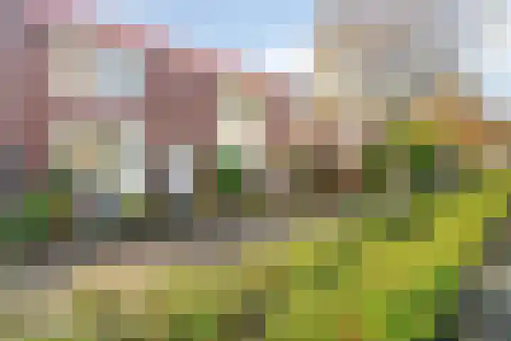 Botterstraat 56 Purmerend thumbnail 37