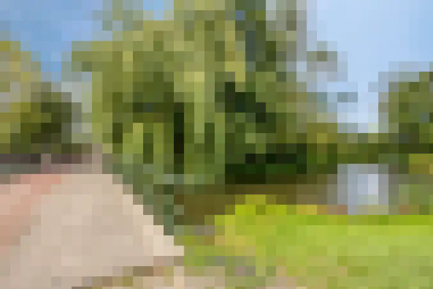 Botterstraat 56 Purmerend thumbnail 39
