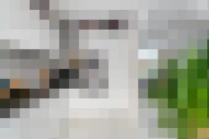 Botterstraat 56 Purmerend thumbnail 4