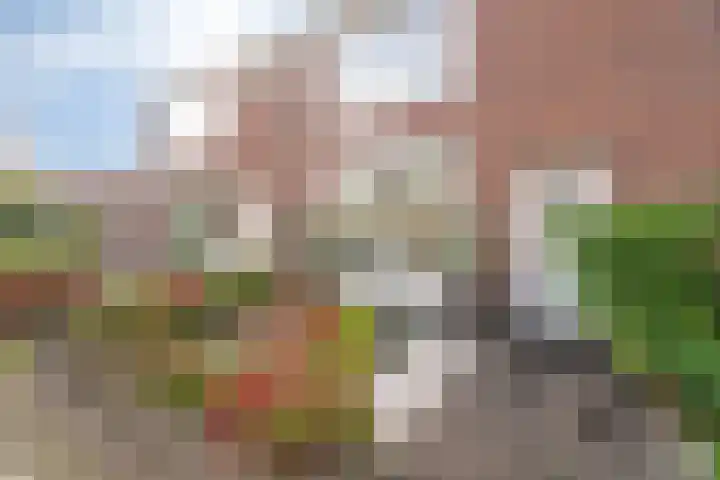 Botterstraat 56 Purmerend thumbnail 7