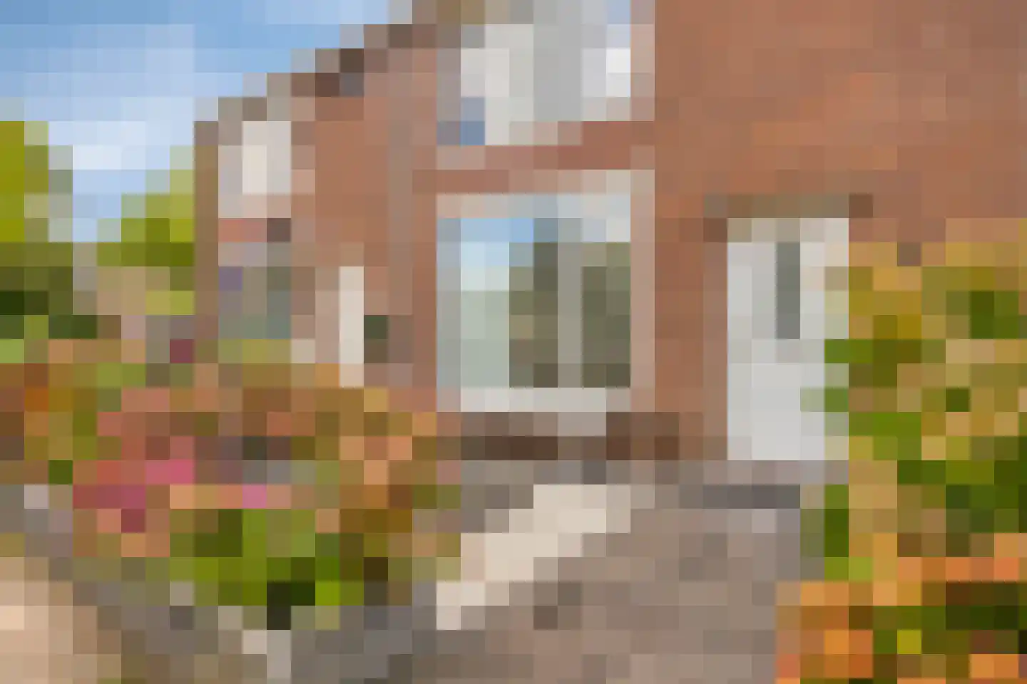 Botterstraat 56 Purmerend thumbnail 9