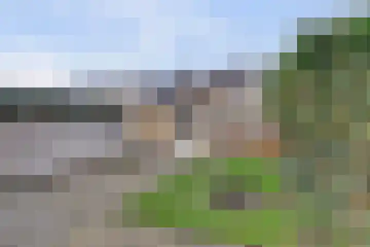Botterstraat 7 Zaltbommel thumbnail 5