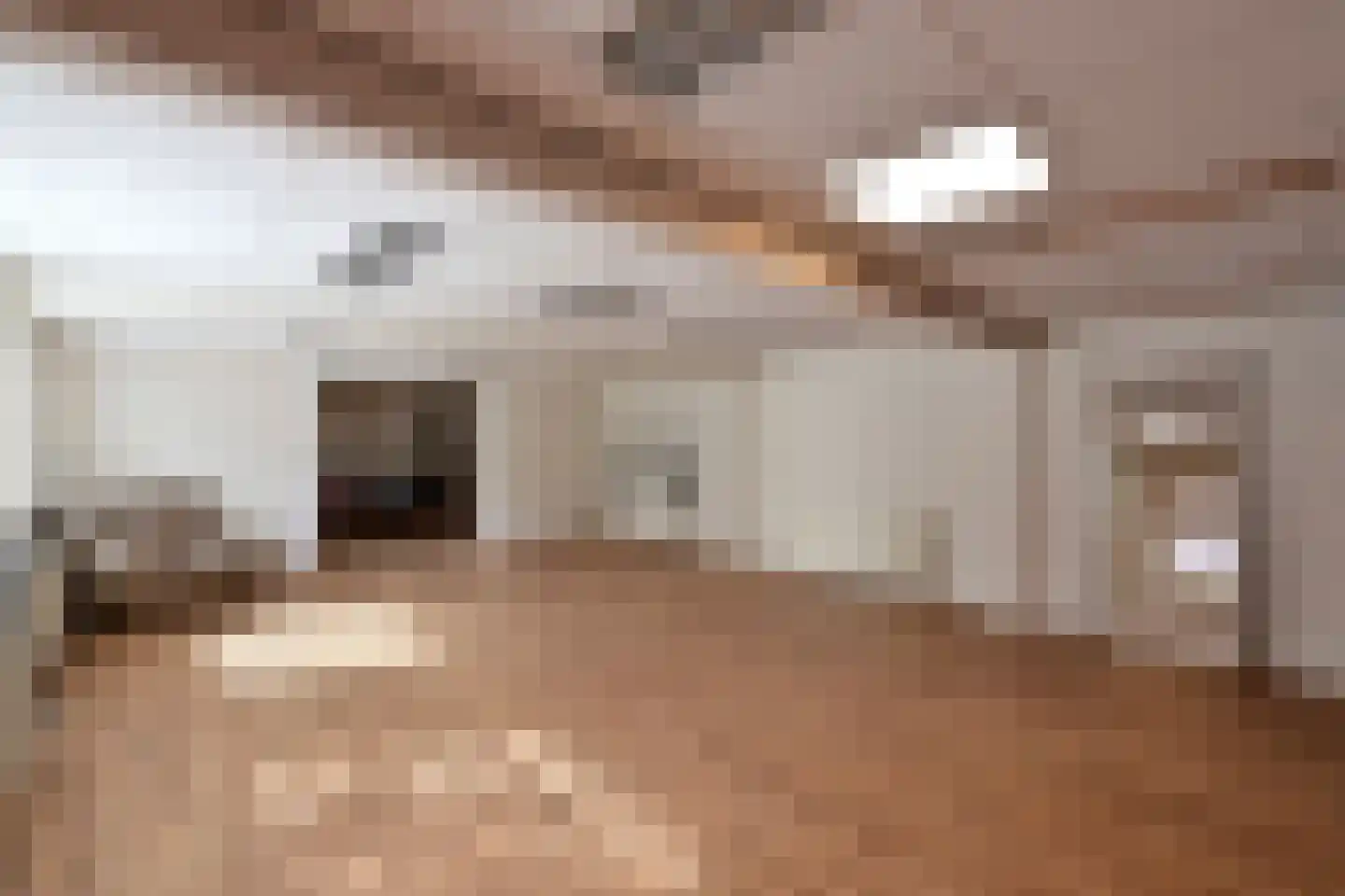 Botterstraat 9 Huizen thumbnail 29