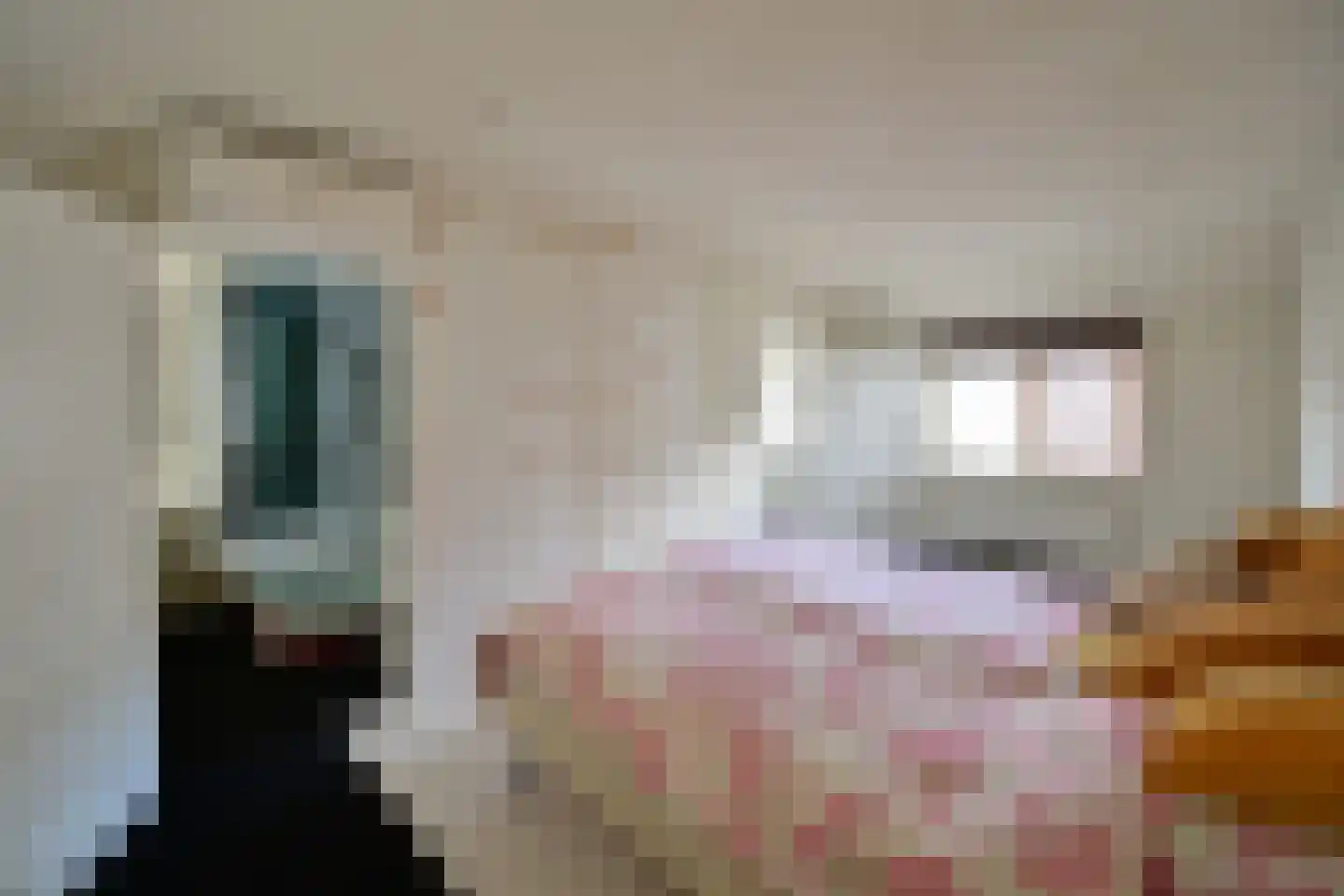 Botterstraat 9 Huizen thumbnail 38
