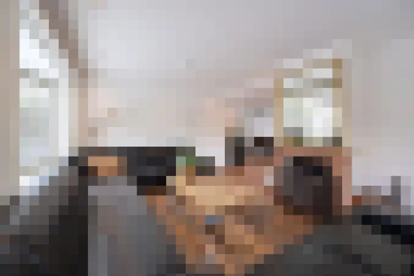 Botterstraat 9 Huizen thumbnail 5