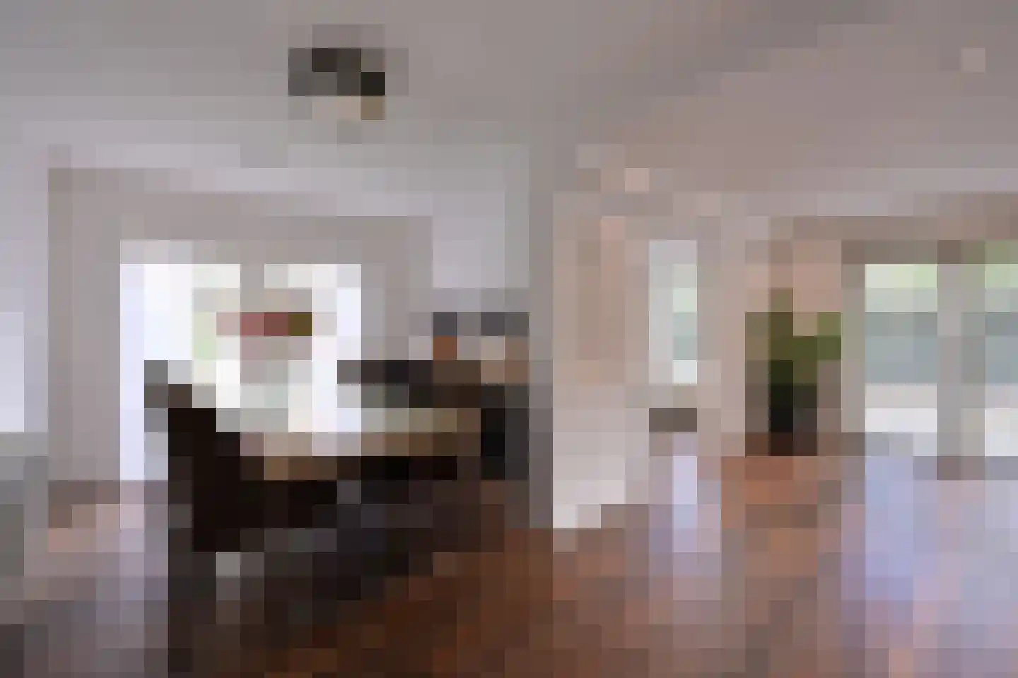 Botterstraat 9 Huizen thumbnail 6