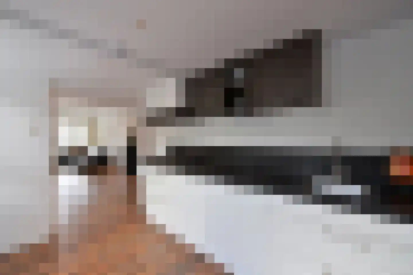 Botterstraat 9 Huizen thumbnail 8