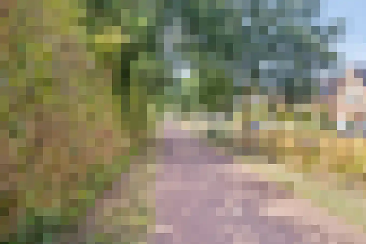 Botterweg 1 a Eibergen thumbnail 32