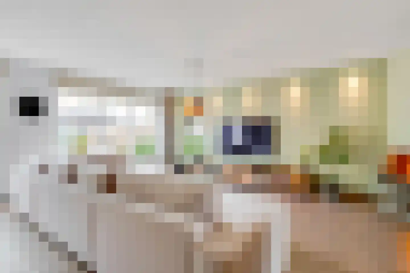 Botterweg 12 Diemen thumbnail 11
