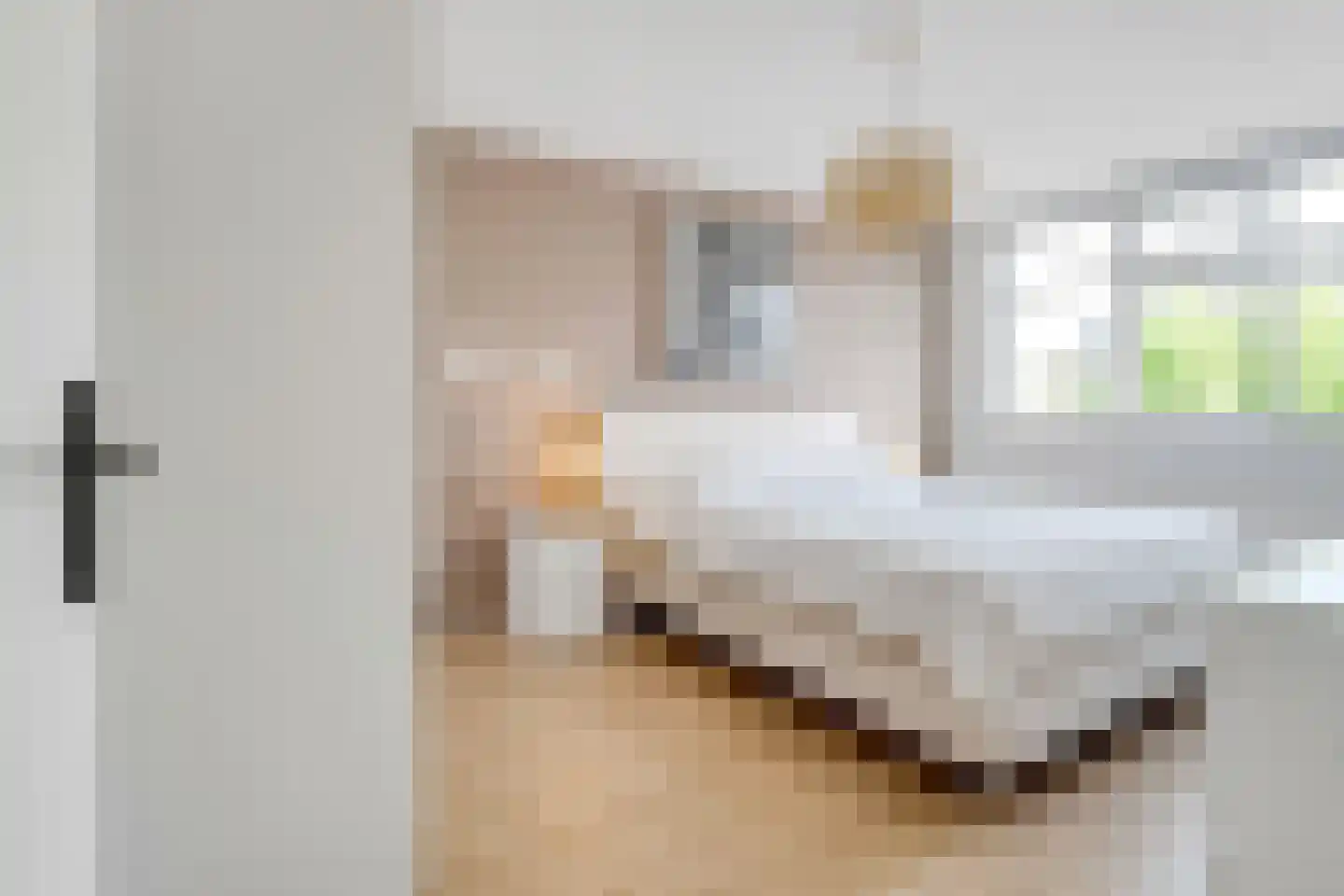 Botterweg 12 Diemen thumbnail 18