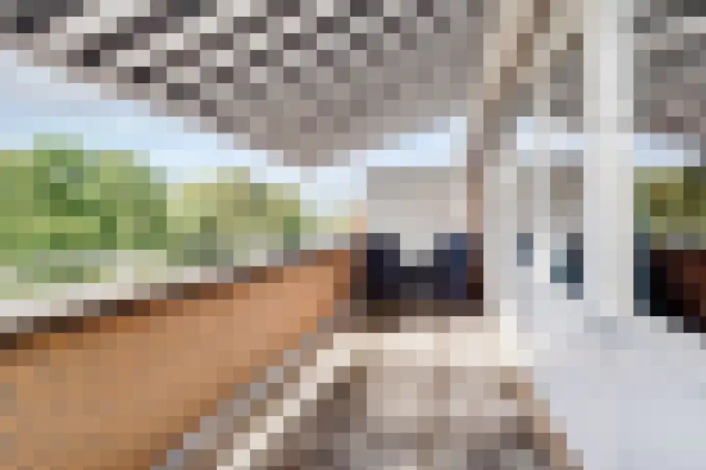 Botterweg 12 Diemen thumbnail 7